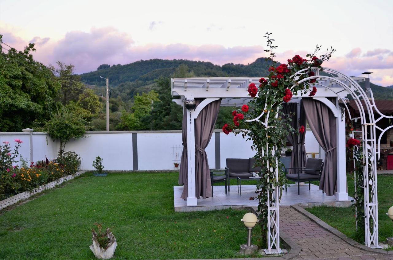 Casa Sonya Apartment Aninoasa ภายนอก รูปภาพ