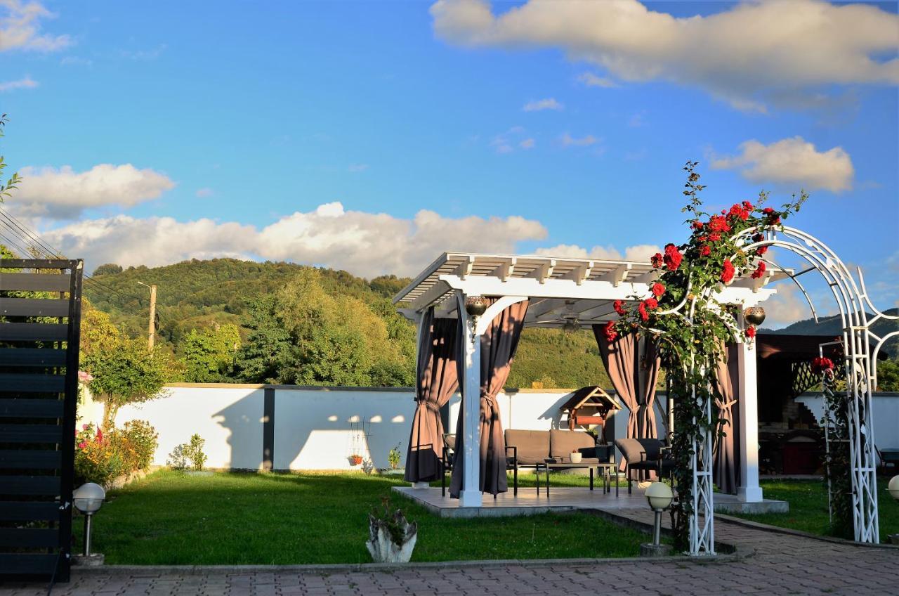 Casa Sonya Apartment Aninoasa ภายนอก รูปภาพ