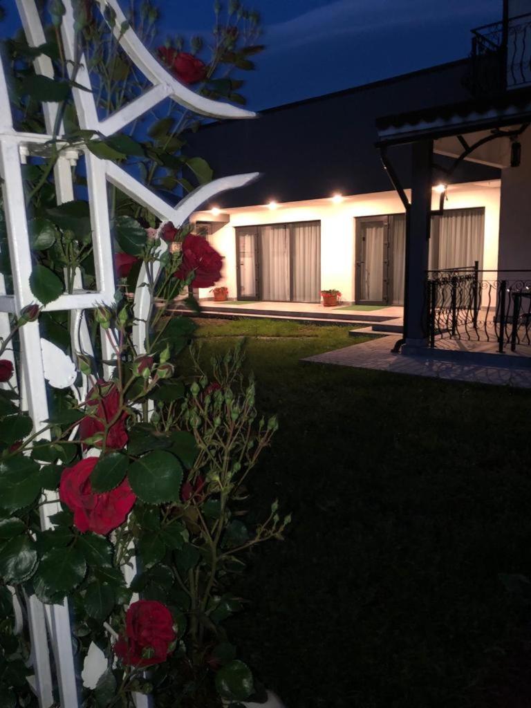 Casa Sonya Apartment Aninoasa ภายนอก รูปภาพ